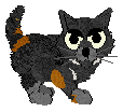 felicitya.gif