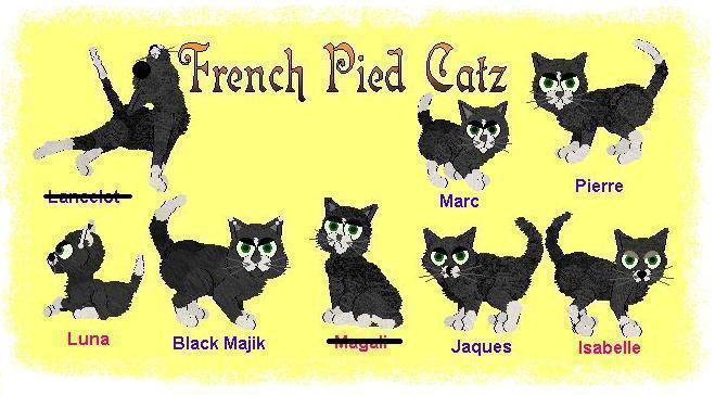 frenchpc.gif