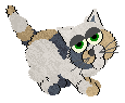 A cat; Actual size=240 pixels wide